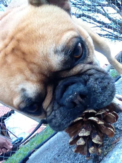 Spike rät... (Teil 2)