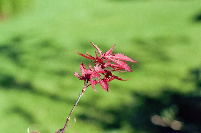 29. November 2013, 9:15 Uhr.